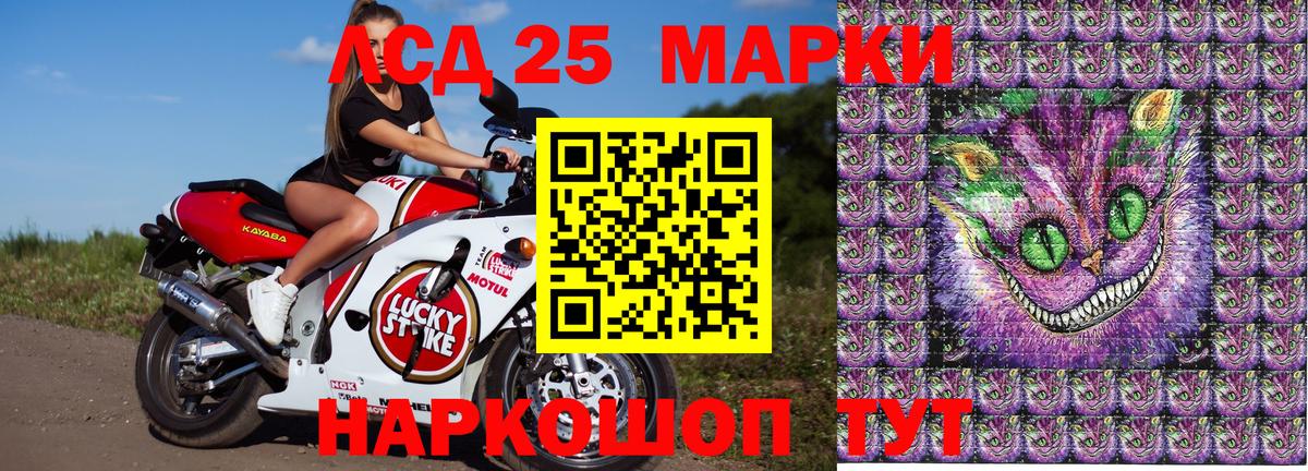 Александров  Марки N-bome 1,5мг  Вход с VPN 