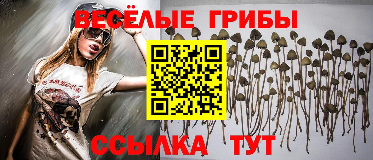 Псилоцибиновые грибы мухоморы Александров