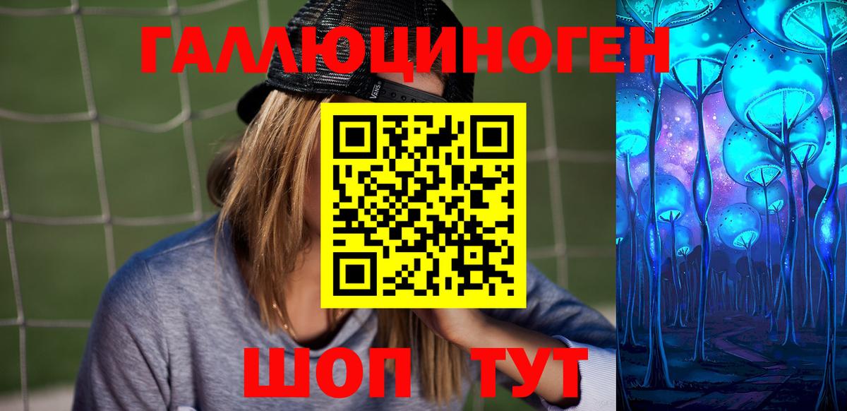 Псилоцибиновые грибы Psilocybine cubensis  Псилоцибиновые грибы мицелий  Александров  Вход с VPN 