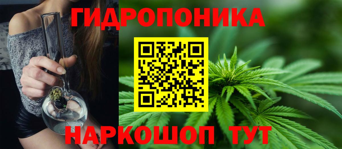 Марихуана сатива  Конопля Ganja  Александров  Вход с VPN  Бошки Шишки сатива 