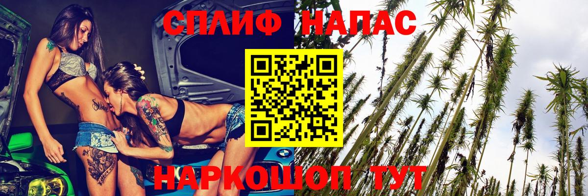 Бошки Шишки VHQ Александров